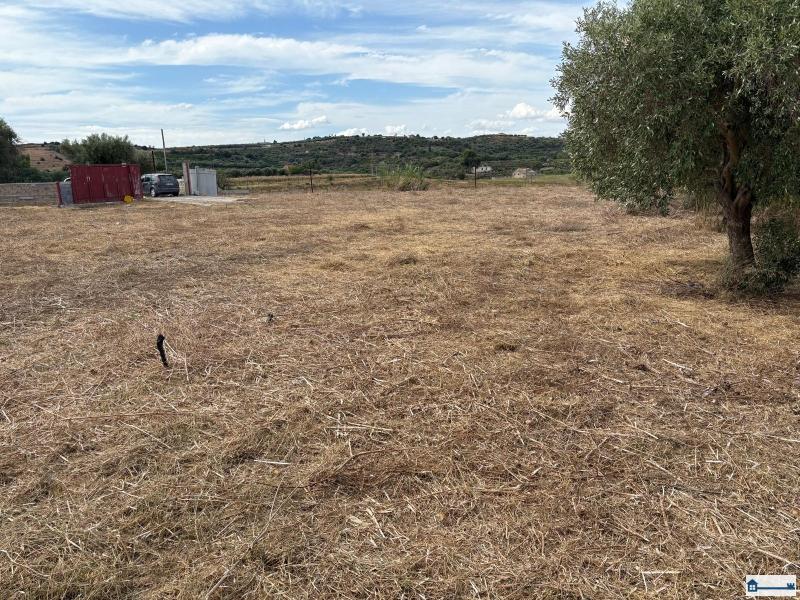 PHOTO-2025-08-20-18-38-07 (3).jpg